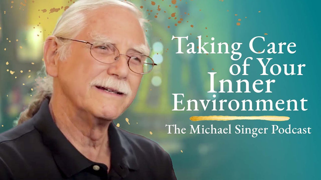 How to Stop Running Around and Start Your Inner Journey | Michael A.Singer